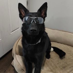 Meet your Posher, Posh